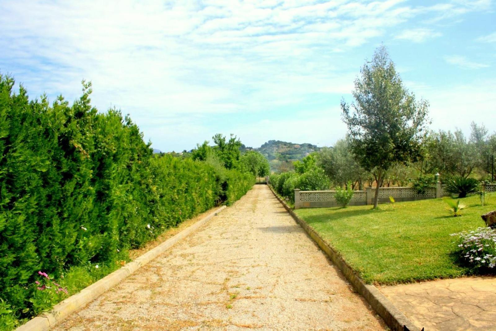 Finca Con Piscina Es Blanquer Pensionat Eksteriør billede